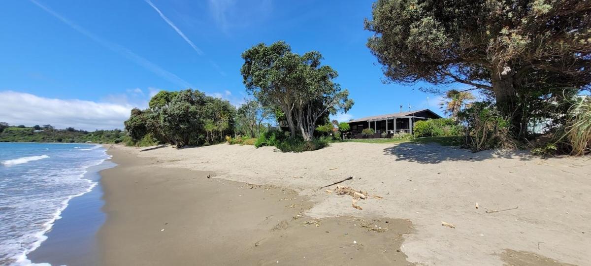 Beachfront Bliss - Your Parapara Seaside Retreat Eksteriør bilde