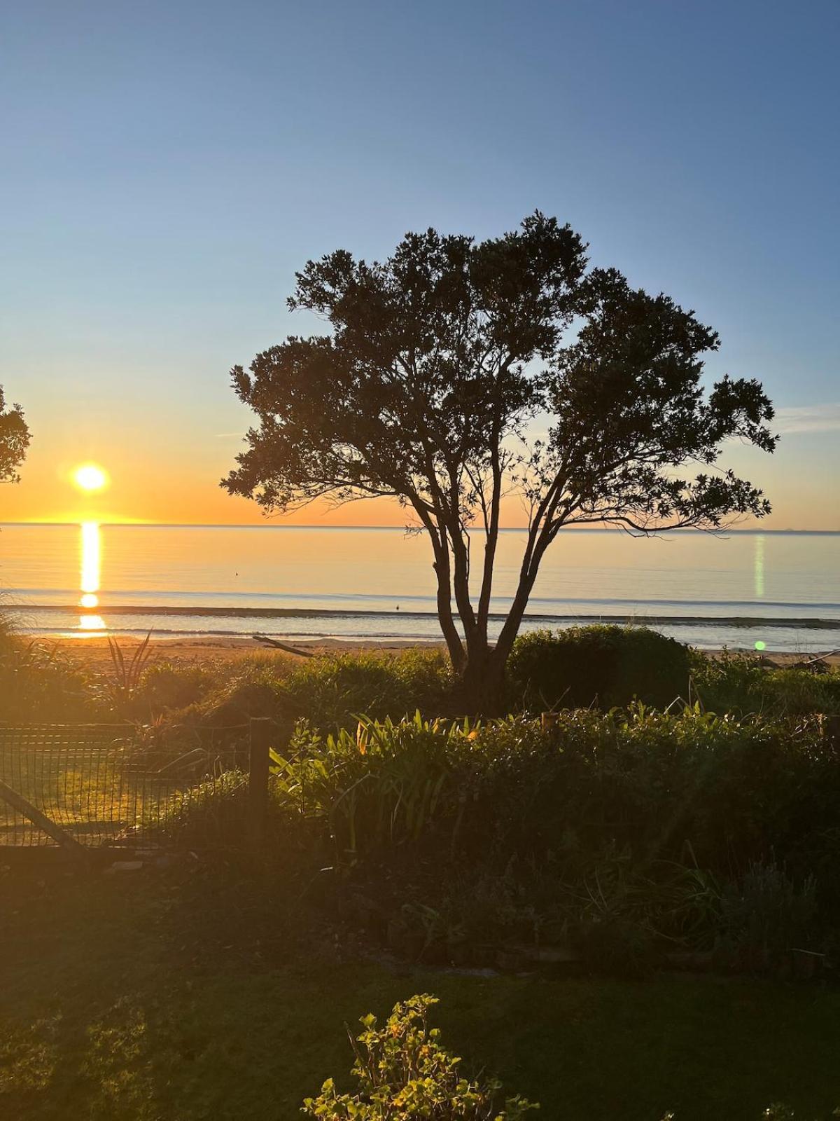 Beachfront Bliss - Your Parapara Seaside Retreat Eksteriør bilde